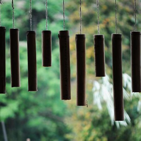 Zen Home Resort & Garden @ Phayao Εξωτερικό φωτογραφία