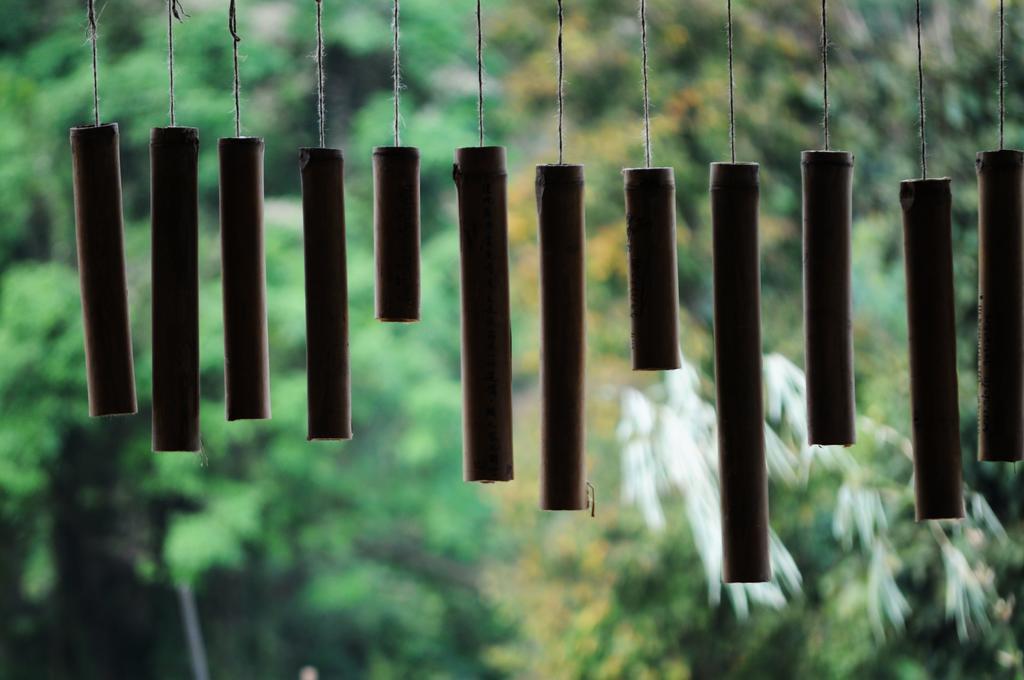 Zen Home Resort & Garden @ Phayao Εξωτερικό φωτογραφία