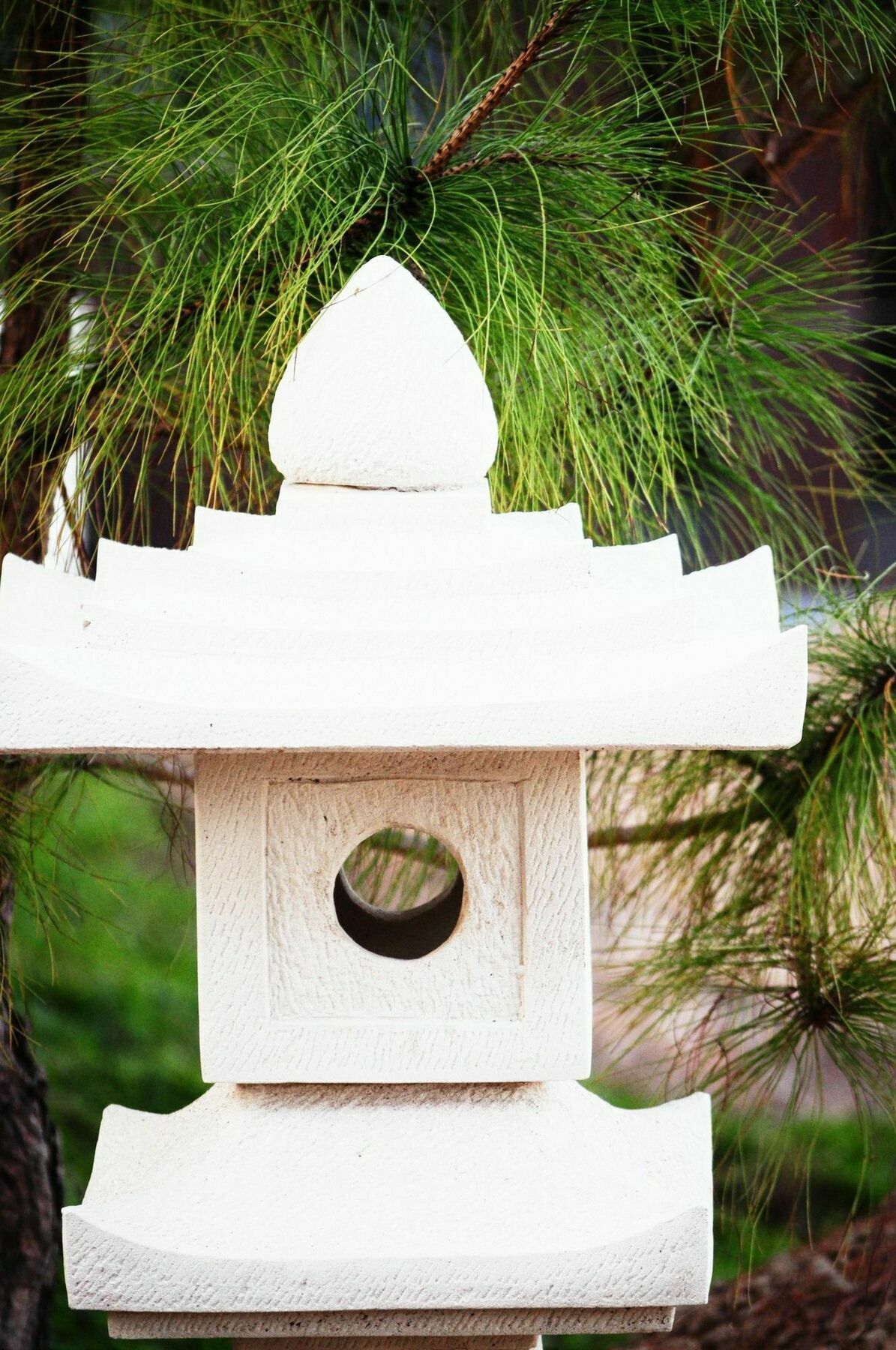 Zen Home Resort & Garden @ Phayao Εξωτερικό φωτογραφία